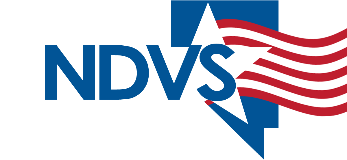 NVS Logo